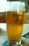 BERNARD 10% - U HRANIE