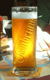 GAMBRINUS 10% - RESTAURACE VL HORA
