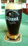 VELKOPOPOVICK KOZEL 10% TMAV - U KRKOVIKY