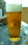 PRAZDROJ 12% - CIDLINA