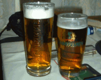 STAROPRAMEN 10% - NA ROZCEST